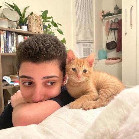 Mgrady3 M Grady Github - Gradient Backgrounds - Premium Desktop Collection