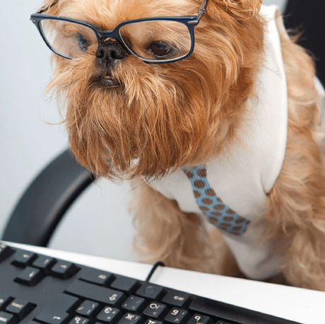 Kwedwick Keegan Wedwick Github - Premium Mountain Design Gallery - Desktop