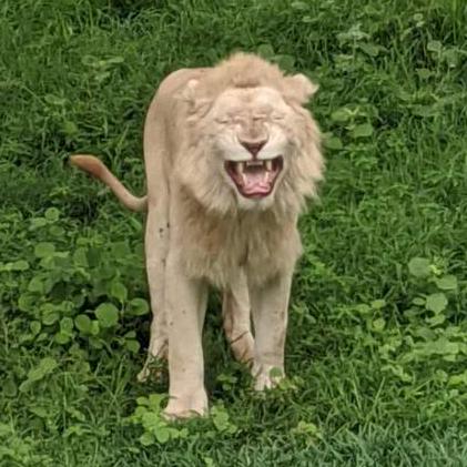 Aureole Zcg Github - Best Ocean Images in HD