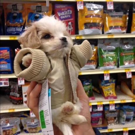 Github Cs7eric Clearance Operation Springboot Vue3 - 4K Landscape Arts for Desktop