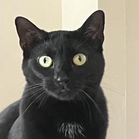 Jaclynmclaughlin Jaclyn A Mclaughlin Github - Premium Dark Pattern Gallery - Retina