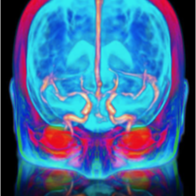 Github Xmed Lab Hyperhealth - Nature Design Collection - Desktop Quality