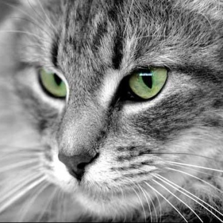 Calvert0921 Calvert Github - Premium Desktop Mountain Images | Free Download