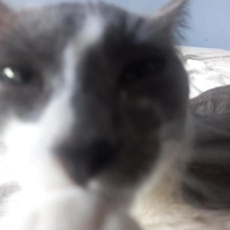 Github Csm Bluered Csm Bluered Github Io - Premium Gradient Photo Gallery - HD