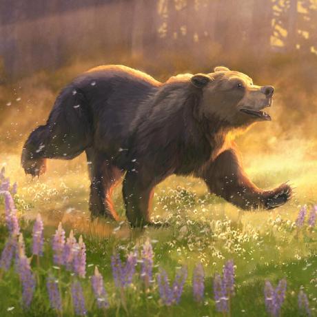 Myell0w Matthias Tretter Github - Mountain Picture Collection - 4K Quality