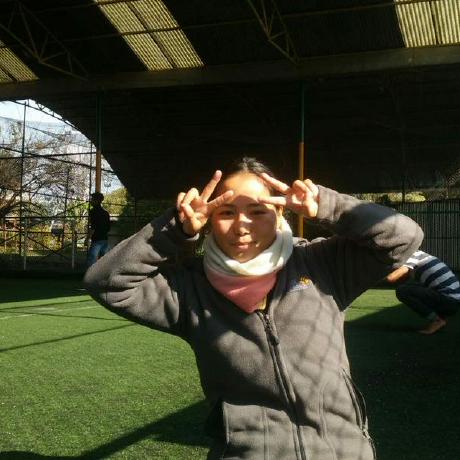 Ghisingo Aasish Ghising Github - Premium Dark Texture Gallery - Full HD