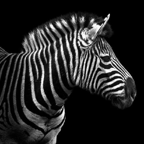 Jrtitus Jeff Titus Github - HD Gradient Images for Desktop