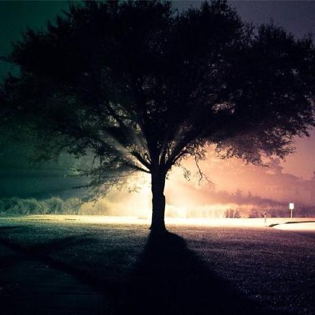 Ubc Provenance Github - Best Nature Photos in 4K