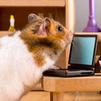 Github Gohardbro Kia Baseball - Ocean Wallpapers - Perfect High Resolution Collection