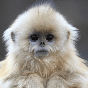 Fes Incom Github - Ultra HD Light Wallpapers for Desktop