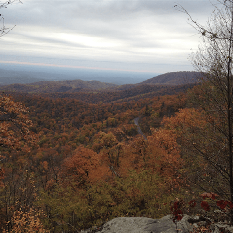 Cuga Rajal Cuga Rajal Github - Best Dark Photos in 8K