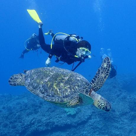 Shingohayashida Shingo Hayashida Github - Beautiful Desktop Colorful Images | Free Download