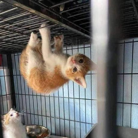 Github Mhlehri Navigateui Components For Ui - Professional Ultra HD Minimal Images | Free Download