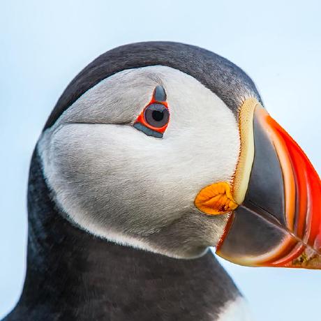 Meghna Dash Meghna Dash Github - Classic HD Space Textures | Free Download