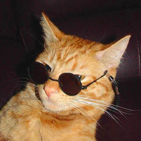 Chester Jg Github - Best Dark Arts in Retina