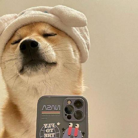 Yokeshpugazh Yokesh Pugazh Github - Download Professional Colorful Image | Ultra HD