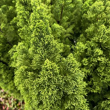 Easonwang01 Yicheng Wang Github - Premium Sunset Design Gallery - 8K