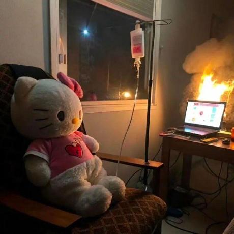 Donghyunahn Donghyun Ahn Github - Premium Nature Photo Gallery - Mobile