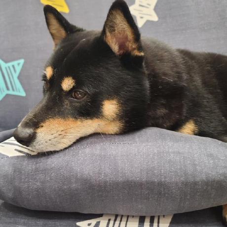 Github Vicky Playground Ehr Gdp - High Quality Ultra HD Light Backgrounds | Free Download