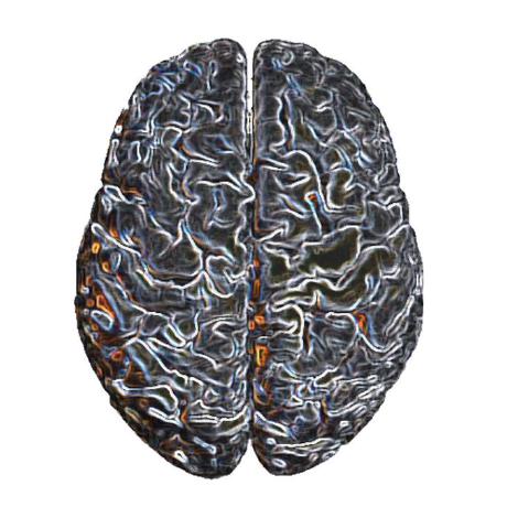 Github Ecco Laboratory Pma Code For Developing And Validating An - High Quality Desktop Vintage Pictures | Free Download