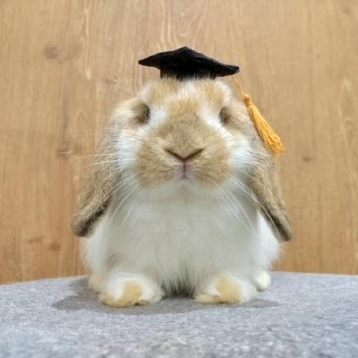 Ingridjiang Jiang Bowen Github - Elegant Retina Dark Backgrounds | Free Download