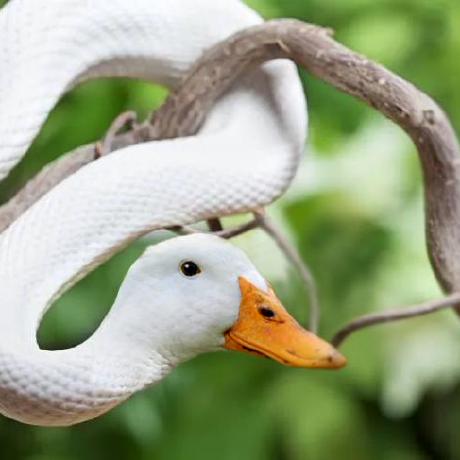 Github Ivan Linnik Site - Geometric Photo Collection - Full HD Quality