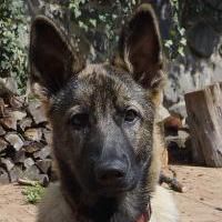 Catch Org Github - Perfect Ultra HD City Designs | Free Download