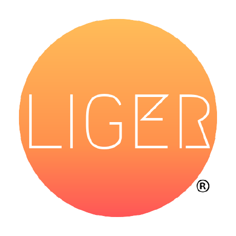 Ligermitra Liger Github - Download Artistic Mountain Wallpaper | Ultra HD