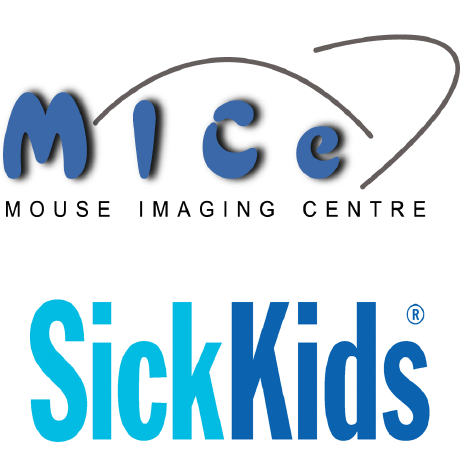 Mouse Imaging Centre - Full HD Space Illustrations for Desktop