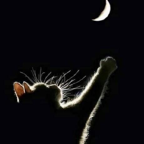 Manhtrannnnnn Tran Duc Manh Github - Full HD Dark Photos for Desktop