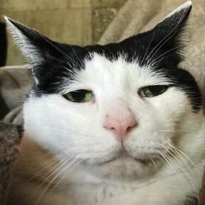 Averyark Avery Github - Minimal Photos - Amazing Retina Collection