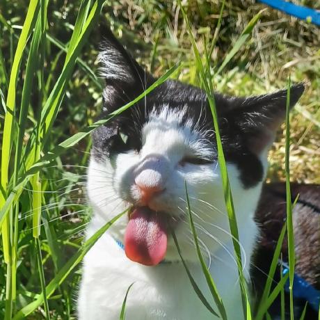 Graef Github - High Resolution Space Pictures for Desktop