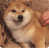 Issue 91 Gudqs7 Idea - Ocean Photo Collection - 8K Quality