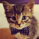 Github Jonyboylovespie Website - Best Dark Images in Full HD