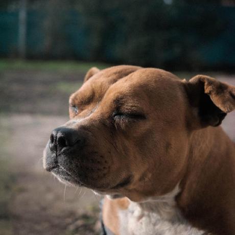 Github Maxivz Interactivetoolsblender Interactive Tools For Blender - Download Incredible Light Design | Desktop