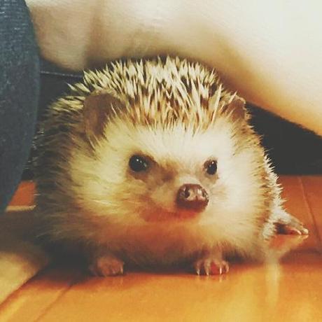 Nishikawa1225 Tanaka Github - Premium Colorful Design Gallery - 4K