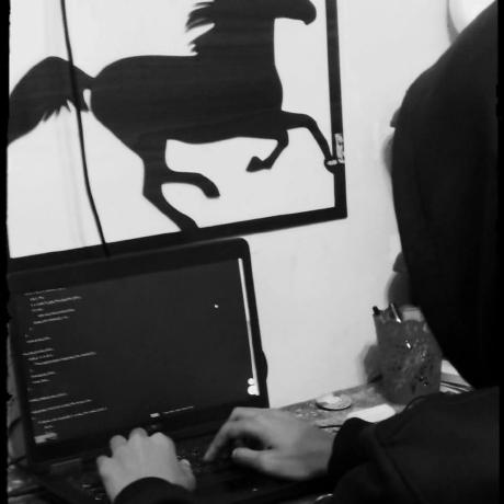 Anaswail Anas Wael Github