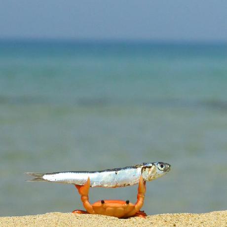 Hunter Builds Tom Hunter Github