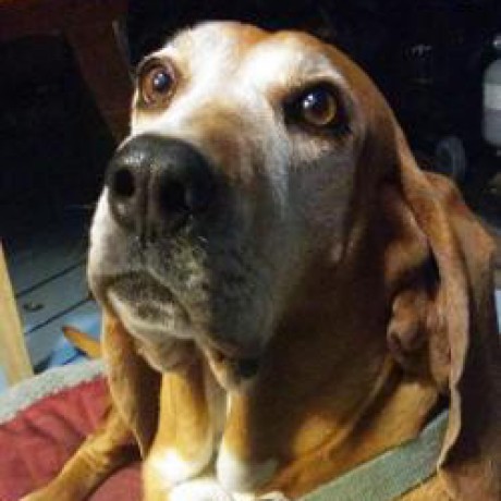 Joferkington Joe Kington Github