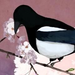 Issues Iamhyc Aigis Github - Download Creative Vintage Pattern | 8K