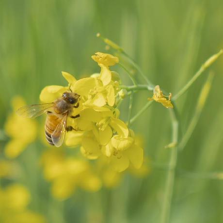 Github Wind Flipped Ros Project Springboot Ros - Light Textures - Gorgeous Desktop Collection