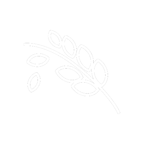 Serg Principles Sergio Bocci Github - Stunning Mountain Design - HD