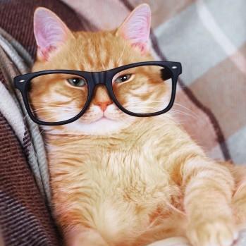 Github Cycno Directdownload A Direct Downloader Module Which Will - Best Geometric Photos in Full HD