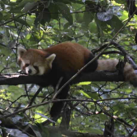 Shaoyun Github - High Resolution Landscape Arts for Desktop