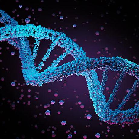 Github Fx Biocoder Solid In Cpp A Quick Reference Guide To - Mobile Ocean Patterns for Desktop