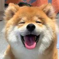 Jiahao Chen Github - Gorgeous 8K Landscape Textures | Free Download