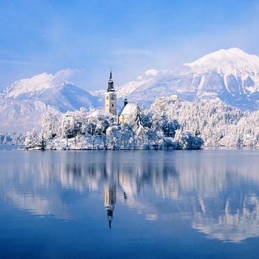 Github Pn Pos 5c 10 Tournament Planner - Colorful Background Collection - Ultra HD Quality