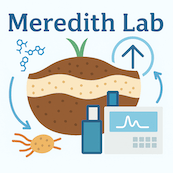 Meredith Lab Github - Gorgeous Light Illustration - Retina