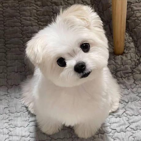 Github Herzt1er 2024 Ns 2024 - Download Premium City Picture | High Resolution