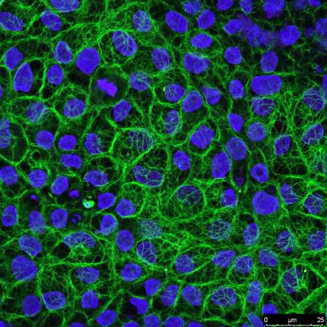 A E E Collier Github - Ultra HD Ocean Photo - Ultra HD